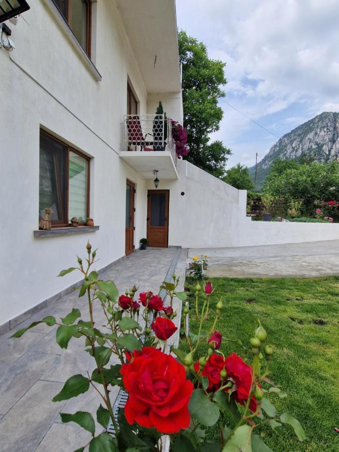 Renate House Hotel Băile Herculane Exterior foto